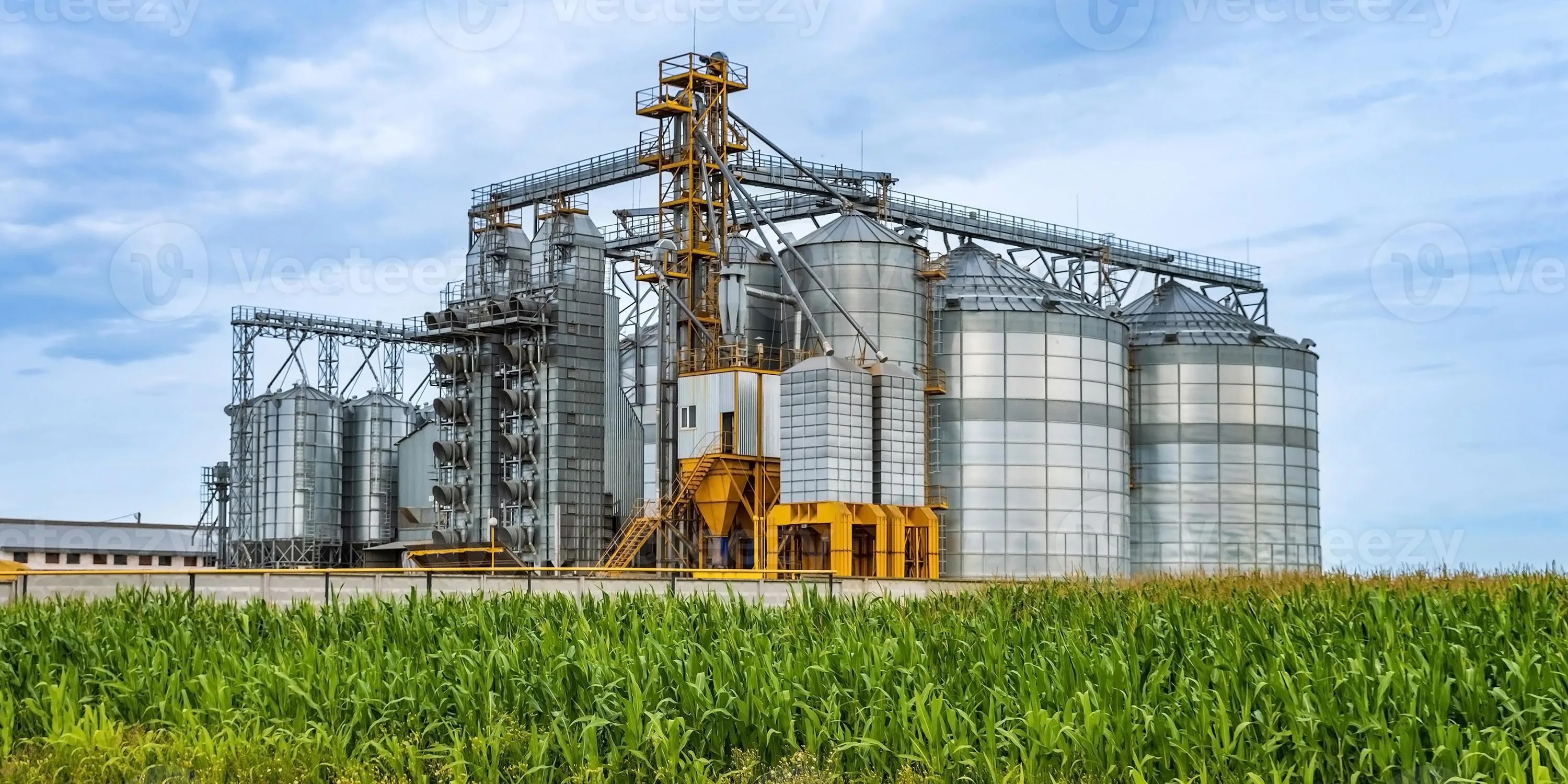 Agricultural Production-Crops