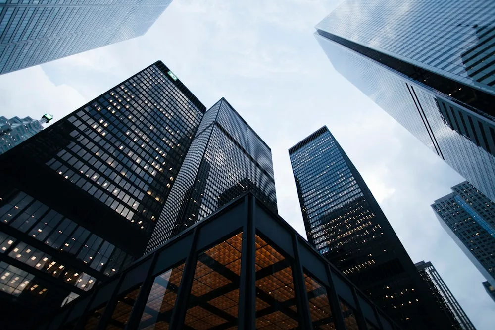 Finance/Investors Services