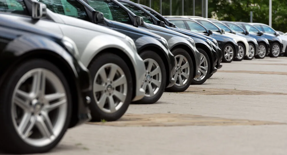 Motor Vehicles & Passenger Car Bodies