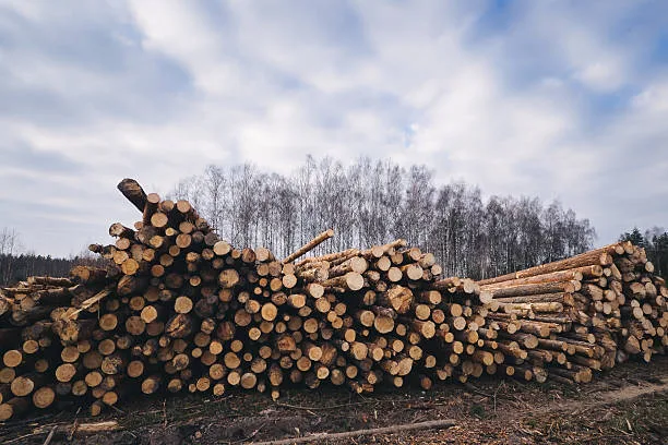 Sawmills & Planting Mills, General
